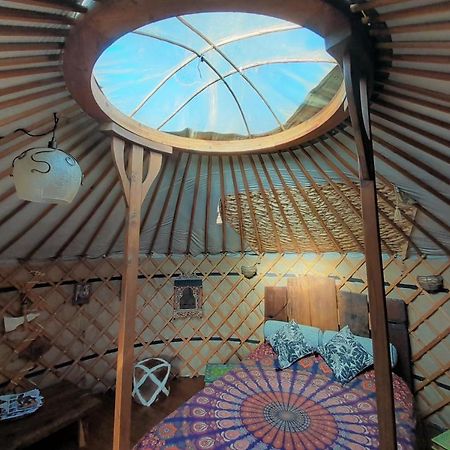 Green Man Yurt Penela Kültér fotó