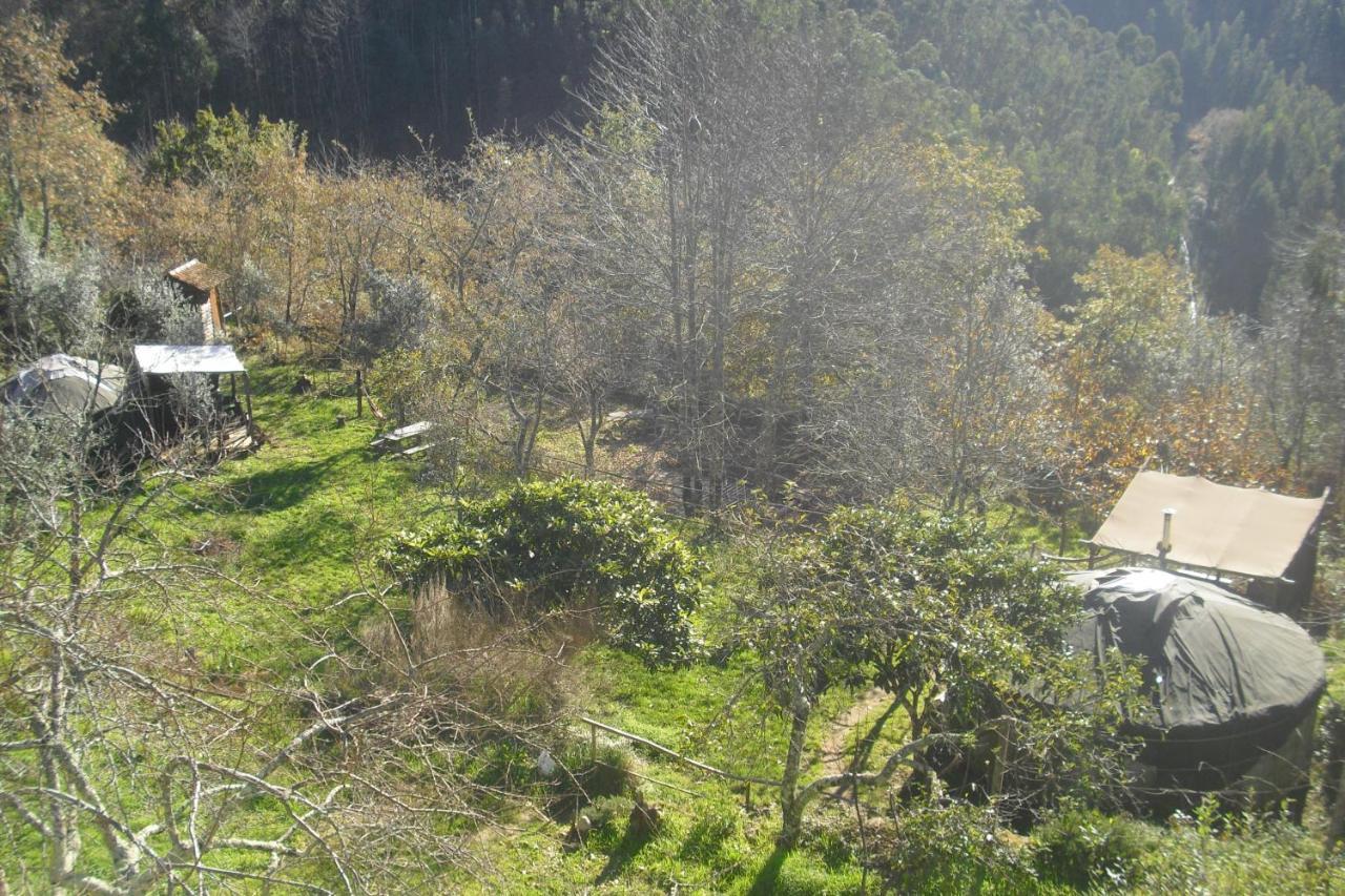 Green Man Yurt Penela Kültér fotó